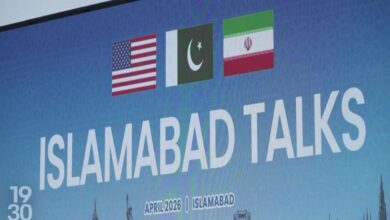 vis 0412202606501684