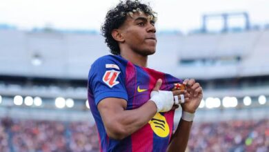 vis 0412202614172973