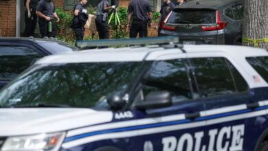 vis 0419202611014779