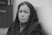 vis 0421202610560671 1