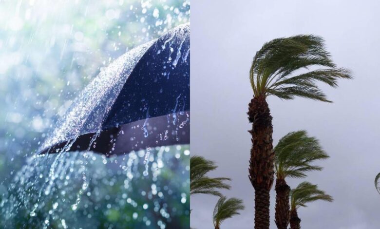 vis 0423202613033304