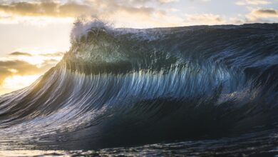 vis 0730202510294223