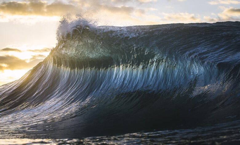 vis 0730202510294223