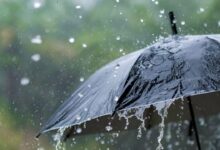 vis 1204202511113684 1