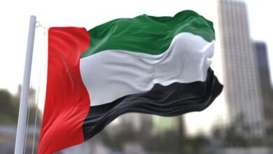 vis 1225202316333038