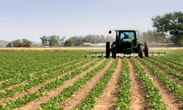 Agriculture Maroc