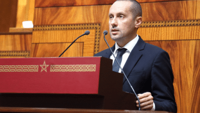 Amine Tahraoui ministre de la sante a fait le point au parlement sur le projet de decret portant ref
