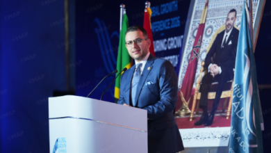 Morocco: Moving Towards a "Structuring" Role in Global Corridors and Value Chains 10 Fassi Fihri Global Growth Conference png