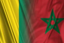 Moroccan Sahara: Guinea Renews Its "Constant and Unwavering" Support for Rabat 16 Maroc Guinee