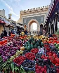 Casablanca Prepares Its "Rungis": A Megaproject Opening a Vast Market for HVAC and Industrial Cooling 1 images 5