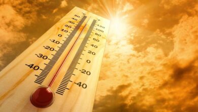 Projected Temperatures for Saturday, May 23, 2026 1 meteo chaude 0