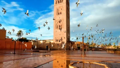 tourisme