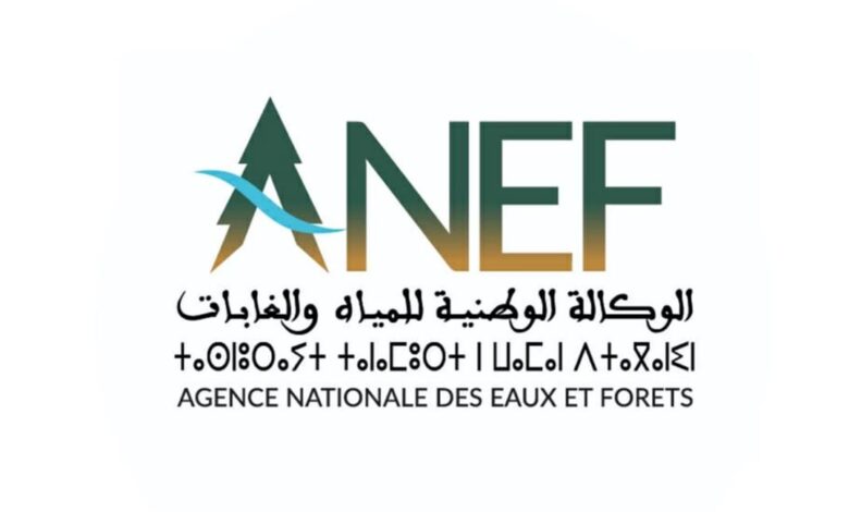vis 0210202521095106