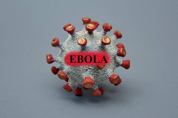 Uganda Temporarily Closes Its Border with the DRC Following Ebola Resurgence 1 vis 0519202612112116
