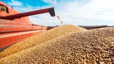 1506 139287 importations de produits agricoles francais l afrique subsaharienne passe devant l afriq