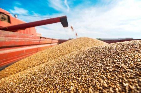 1506 139287 importations de produits agricoles francais l afrique subsaharienne passe devant l afriq