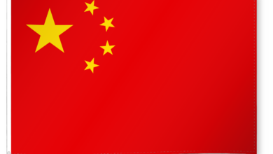 China Redefines the Map of Global Industry, Disrupting the Ambitions of Emerging Countries 1 34068
