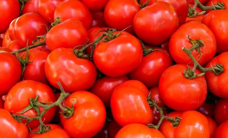 La valeur nutritive des tomates 1200x630 1 1