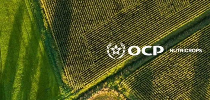 OCP Nutricrops transforme le CO₂ capture en solutions durables pour leau et lagriculture 696x332 1.w