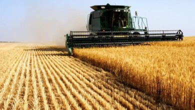 agriculture pays arabes oada 5 e1611926533192