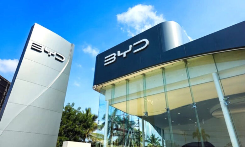 couve byd 2