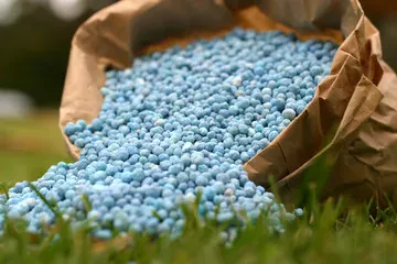 ocp