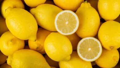 Moroccan Citrus: Record Exports and Strong Momentum in International Markets 1 telechargement 3
