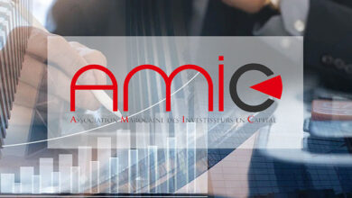 AMIC