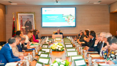Morocco's agri-food exports exceed 86 billion dirhams in 2025. 9 DR855210088