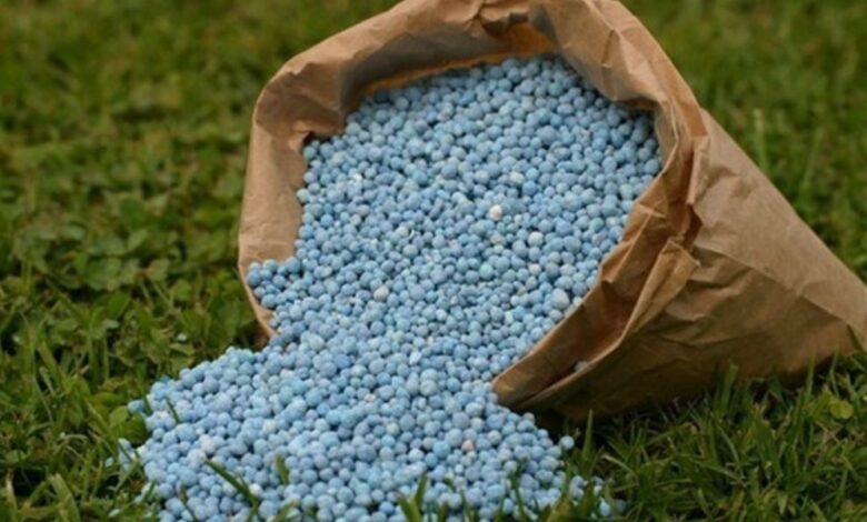 American Farmers Advocate for Easier Access to Moroccan Phosphate Fertilizers 1 Engrais