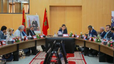Errachidia: Leila Benali Chairs CADETAF's Board of Directors and Signs Two Strategic Agreements for the Development of the Mining Sector 1 Nouveau projet618 1