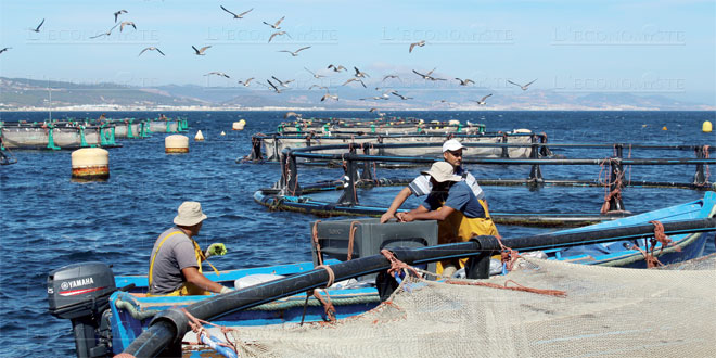 aquaculture 2 015 tt 2