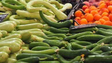 Report: Morocco Strengthens Its Position as a Major Supplier of Fruits and Vegetables to Europe 11 images 9