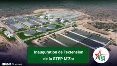 img 1785105856379