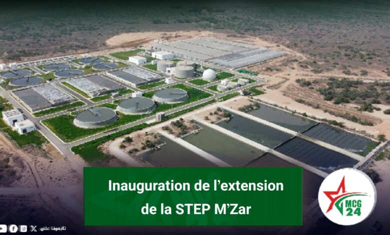 img 1785105856379