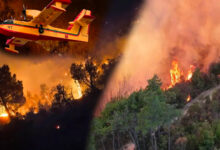 Fires in Morocco: 628 Hectares Devastated, Blaze Under Control 8 lutte