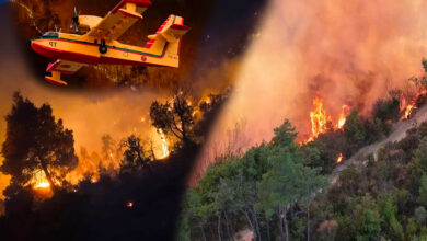 Fires in Morocco: 628 Hectares Devastated, Blaze Under Control 6 lutte