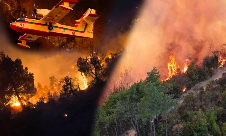 Fires in Morocco: 628 Hectares Devastated, Blaze Under Control 1 lutte