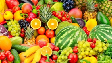Morocco Remains One of the Main Agro-Food Suppliers to the European Union Despite a Decline in Its Trade Surplus 9 morocco fruits production 780x470 1