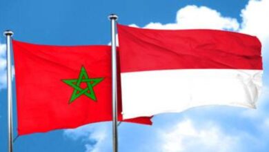 Morocco-Indonesia: Omar Hejira Strengthens Economic Partnerships and Opens New Perspectives with ASEAN 11 slider 1783605244MAROC INDON2SIE 1
