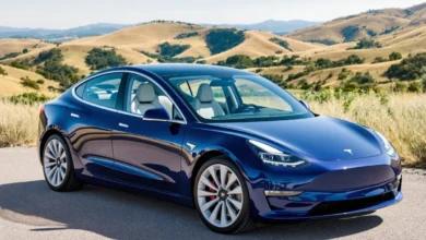 Tesla Accelerates Its Development in Morocco with a New Space in Marrakech 1 tesla implantation maroc 2 d1dcc