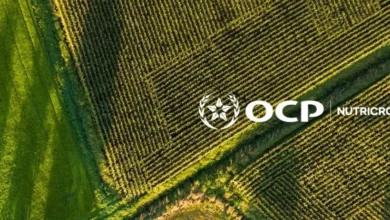 OCP Nutricrops Strengthens Its Commitment to Soil Health in Argentina 1 423978