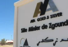 Aya Gold & Silver Strengthens Its Presence in Morocco with Acquisition of Three New Mining Projects 10 Aya GS Zgounder 780x470.jpg