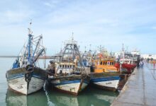 The Port of Laâyoune Records a 56% Increase in Fishery Landings Over Seven Months 11 NV7T4MG6X5JEBFR2OLPDHFYZLQ