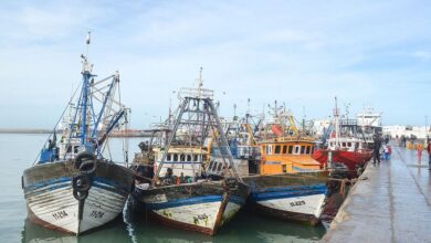 The Port of Laâyoune Records a 56% Increase in Fishery Landings Over Seven Months 1 NV7T4MG6X5JEBFR2OLPDHFYZLQ