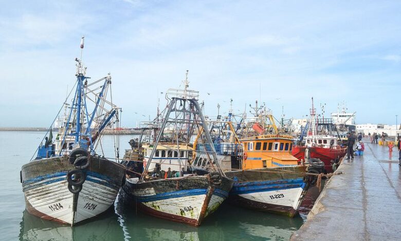 The Port of Laâyoune Records a 56% Increase in Fishery Landings Over Seven Months 1 NV7T4MG6X5JEBFR2OLPDHFYZLQ