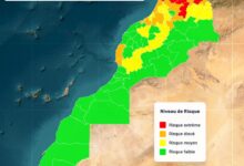Risk of Wildfires: The National Agency for Water and Forests Issues a New Alert 7 WhatsApp Image 2026 07 30 at 21.19.26 1