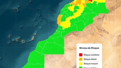 Risk of Wildfires: The National Agency for Water and Forests Issues a New Alert 1 WhatsApp Image 2026 07 30 at 21.19.26 1