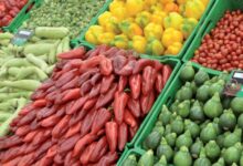 Morocco Strengthens Its Position as a Leader in the Spanish Fruit and Vegetable Market with Nearly 900 Million Euros 12 field image fruits legumes 2 925x430 1