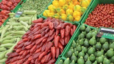 field image fruits legumes 2 925x430 1